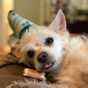 Meet your Posher, Bryant